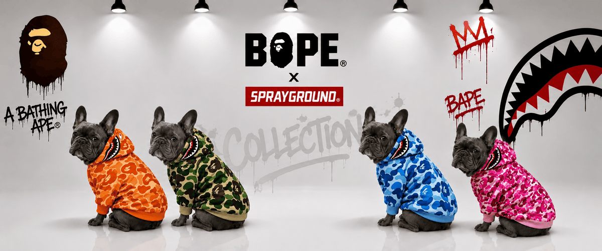 Sprayground