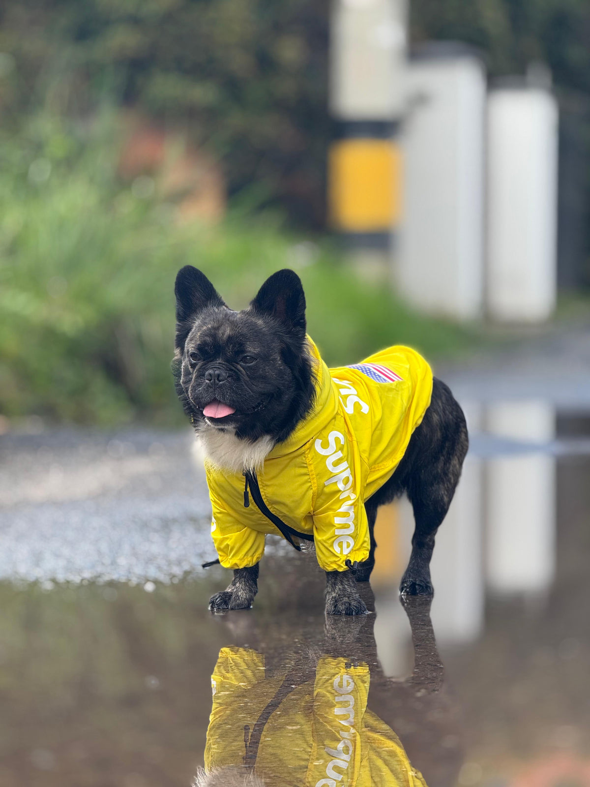 Impermeable Supreme