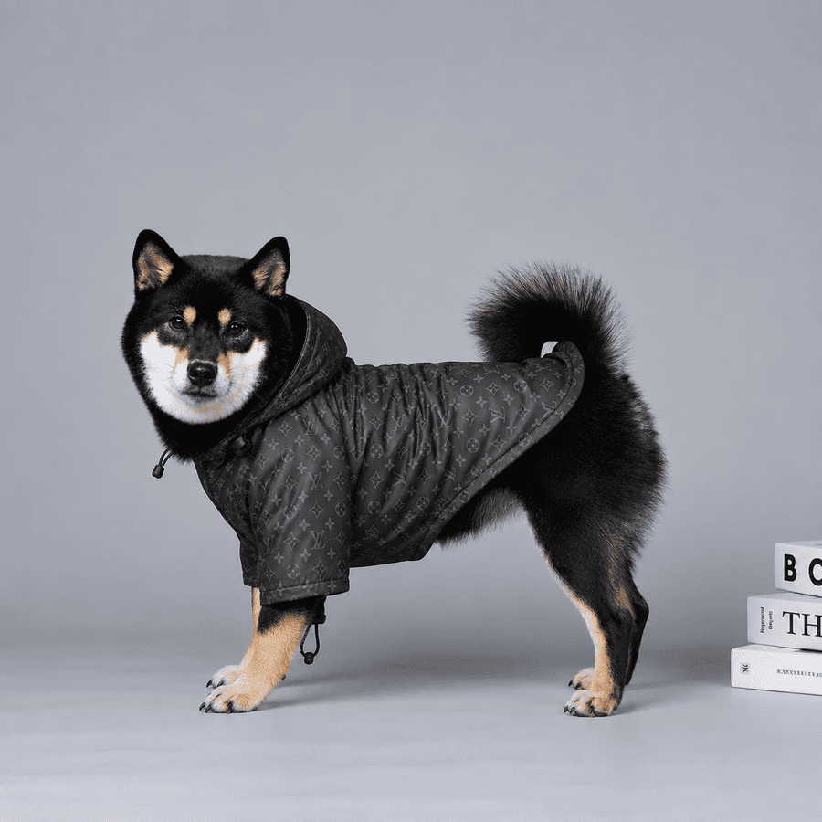 Impermeable Louis Vuitton