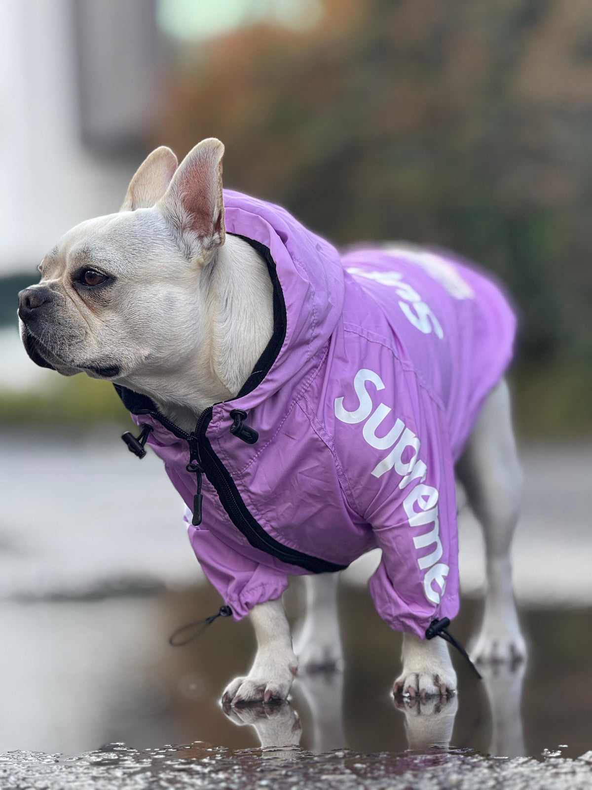 Impermeable Supreme