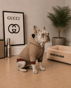 Chaqueta Gucci