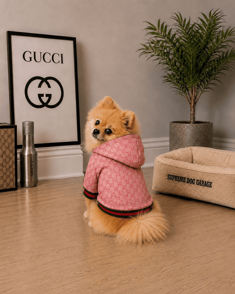 Chaqueta Gucci