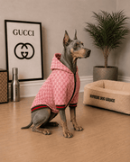 Chaqueta Gucci