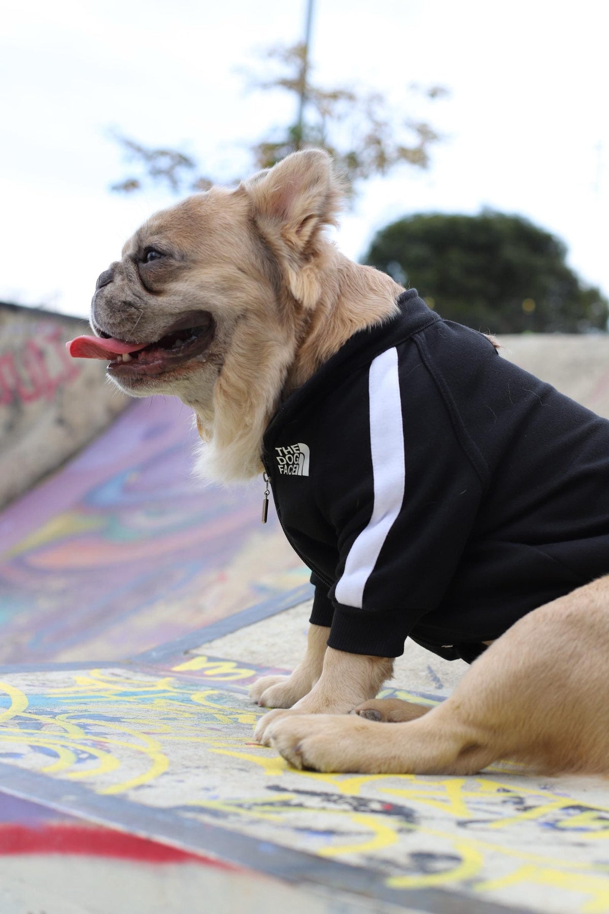 Chaqueta The Dog Face