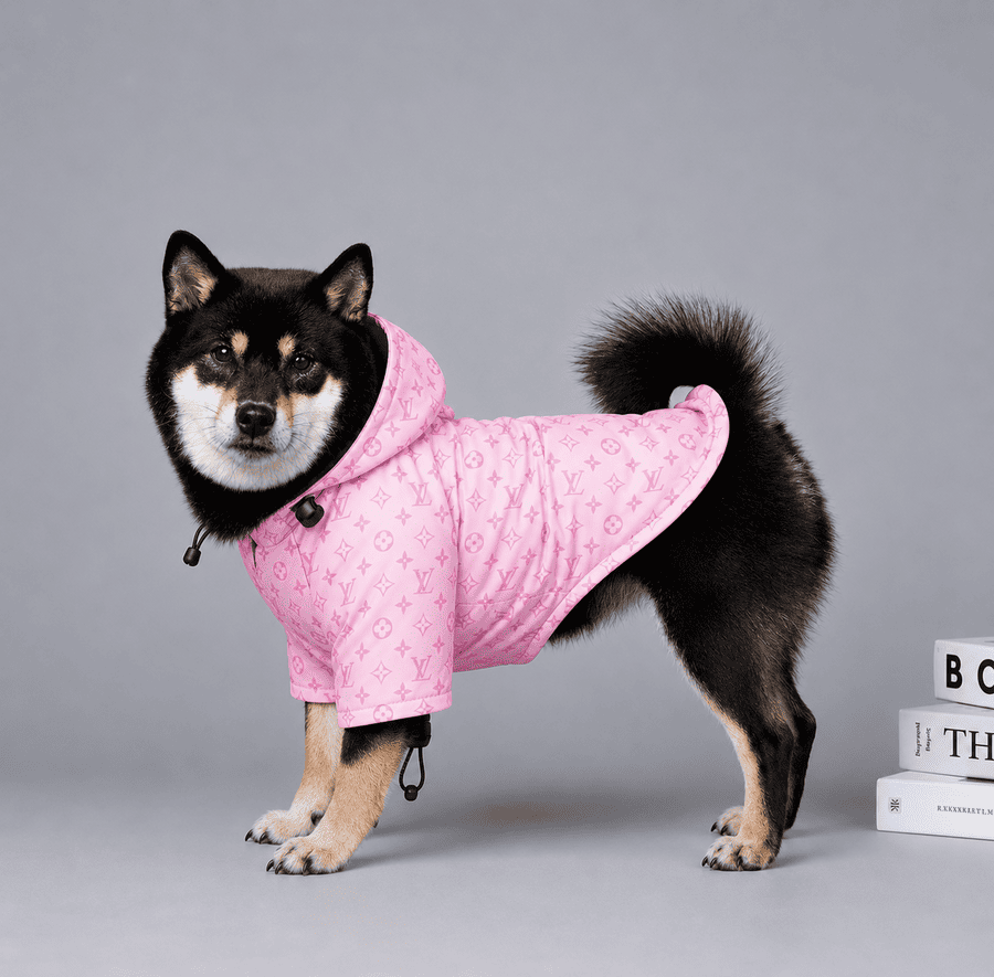 Impermeable Louis Vuitton