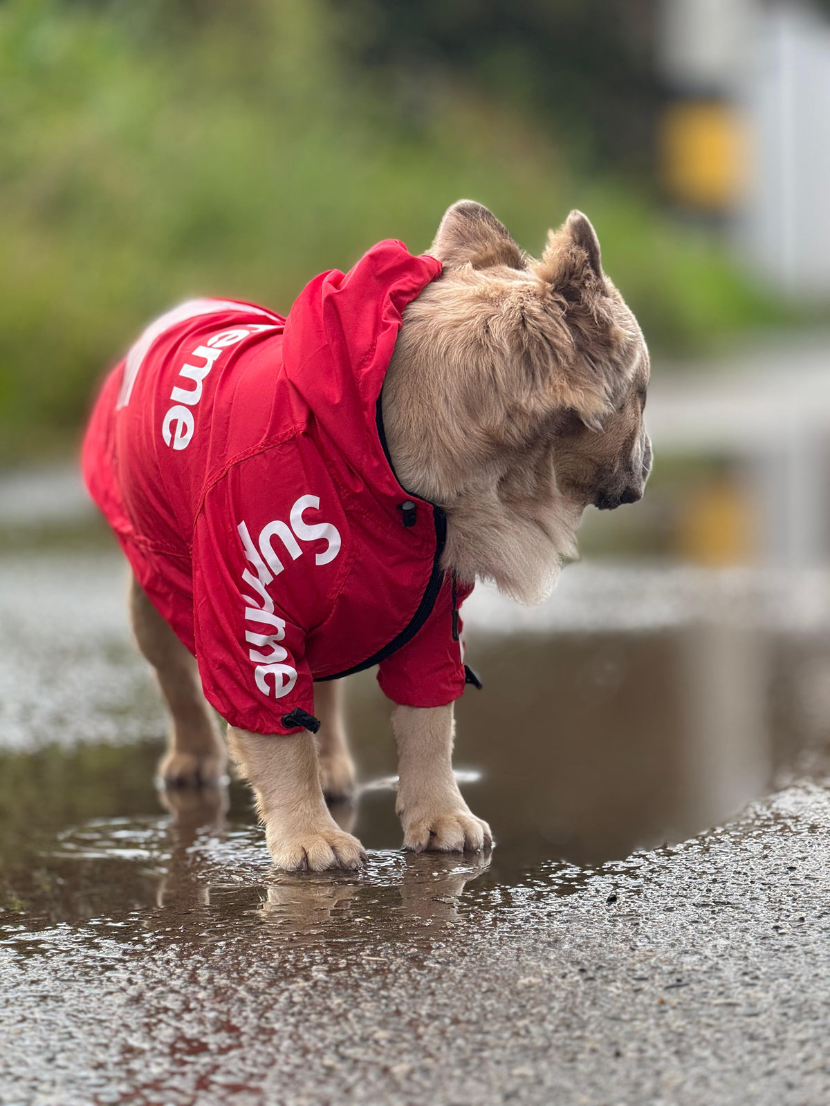 Impermeable Supreme