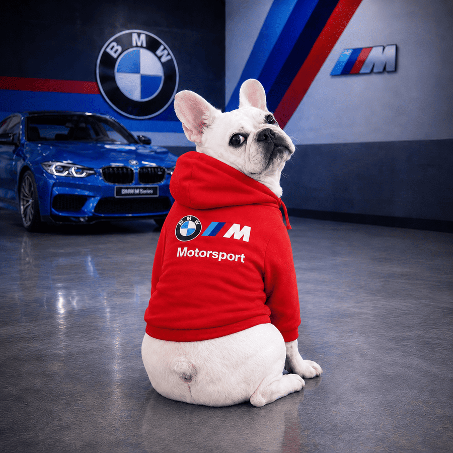 Hoodie Puma BMW
