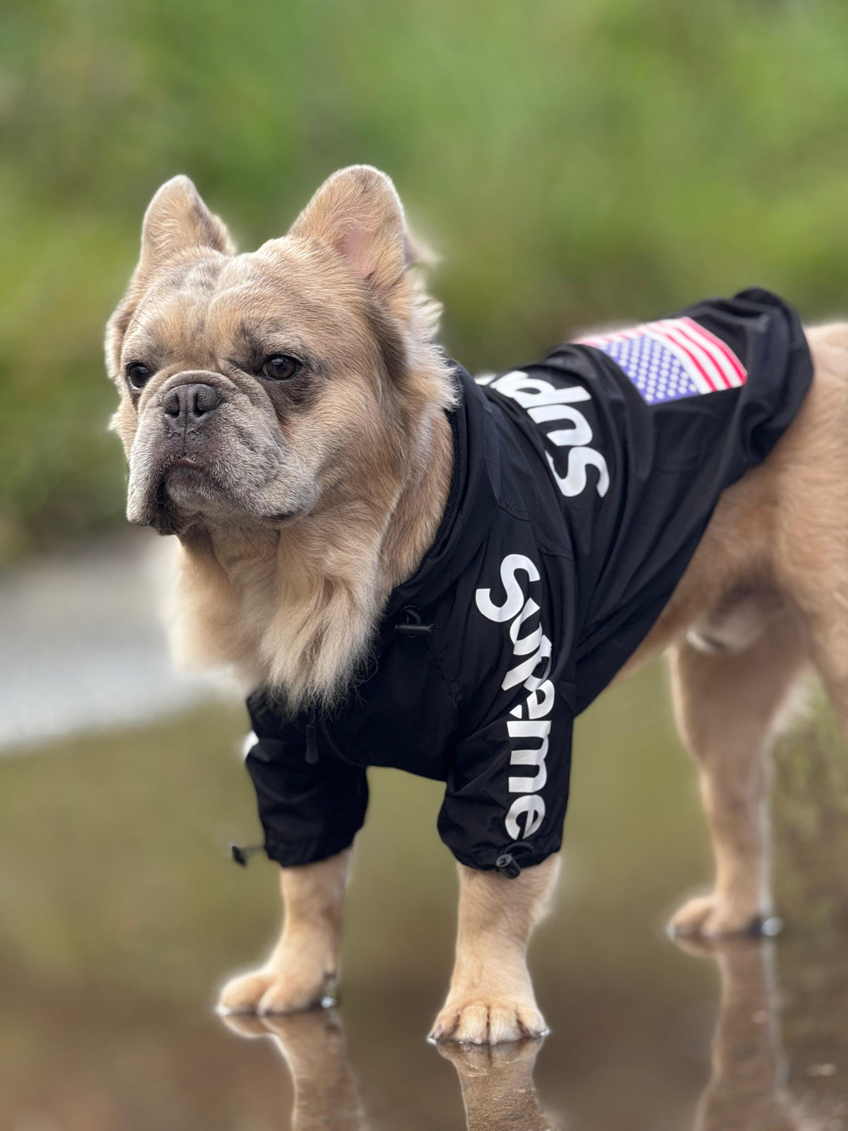 Impermeable Supreme