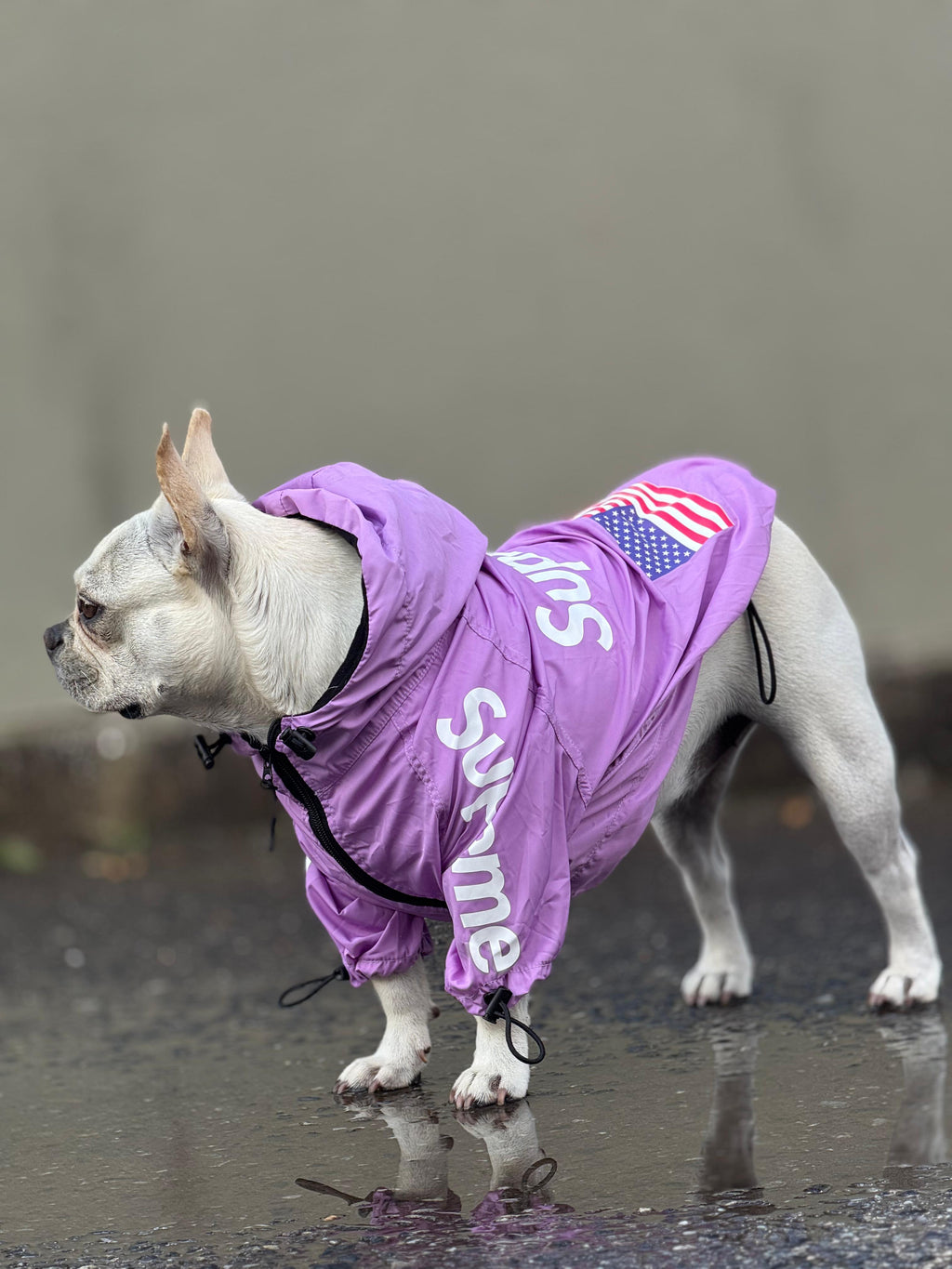 Impermeable Supreme