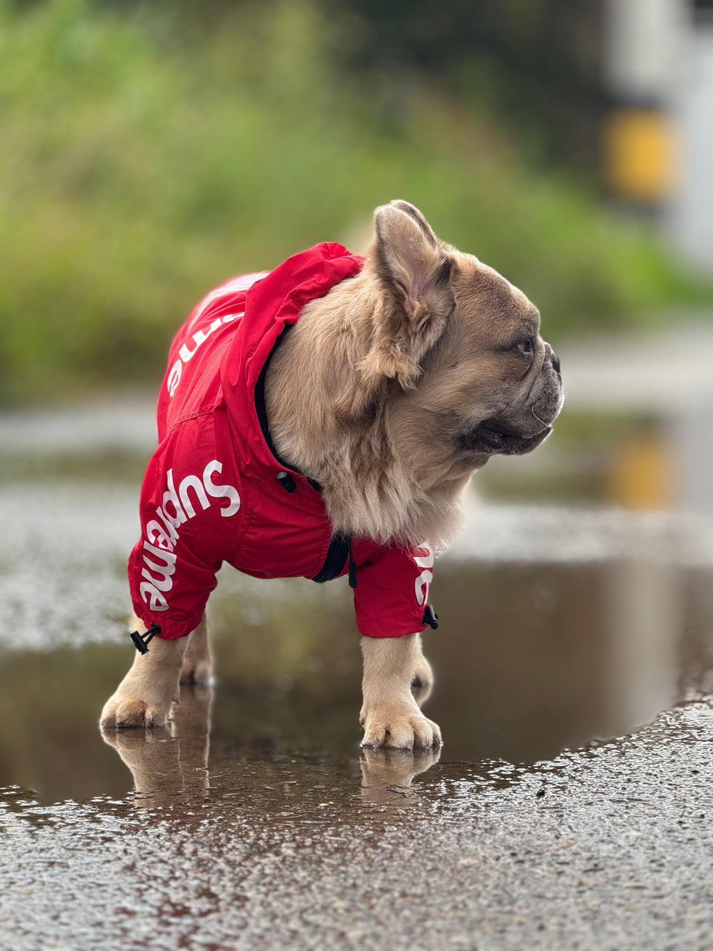 Impermeable Supreme