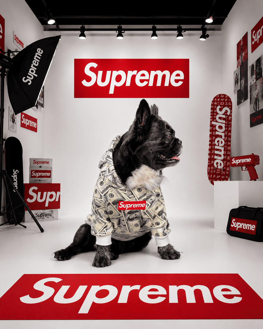 Hoodie Supreme Dollar