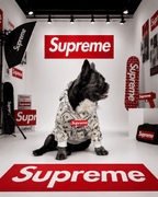 Hoodie Supreme Dollar