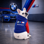 Hoodie Puma BMW