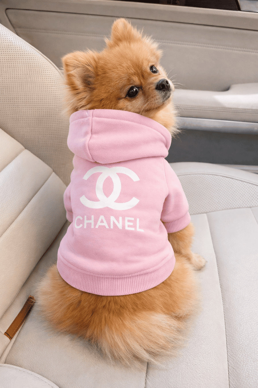 Hoodie Chanel