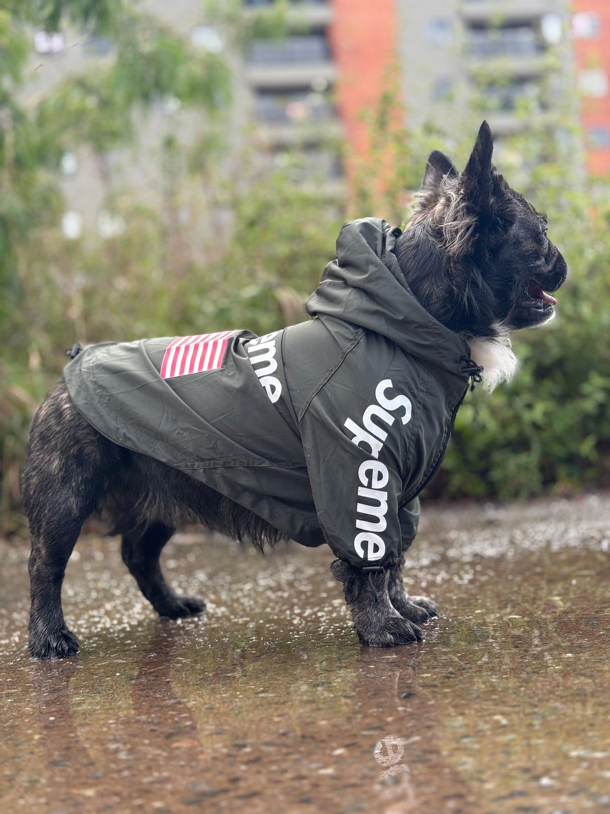 Impermeable Supreme