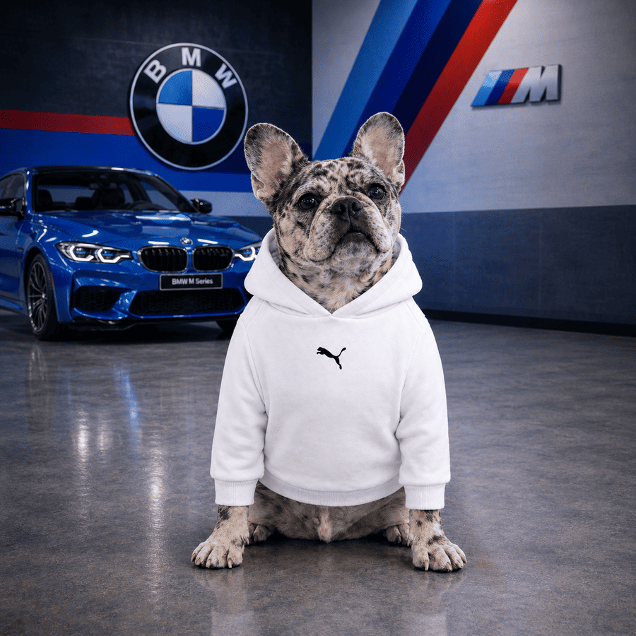 Hoodie Puma BMW