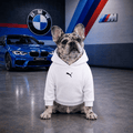 Hoodie Puma BMW