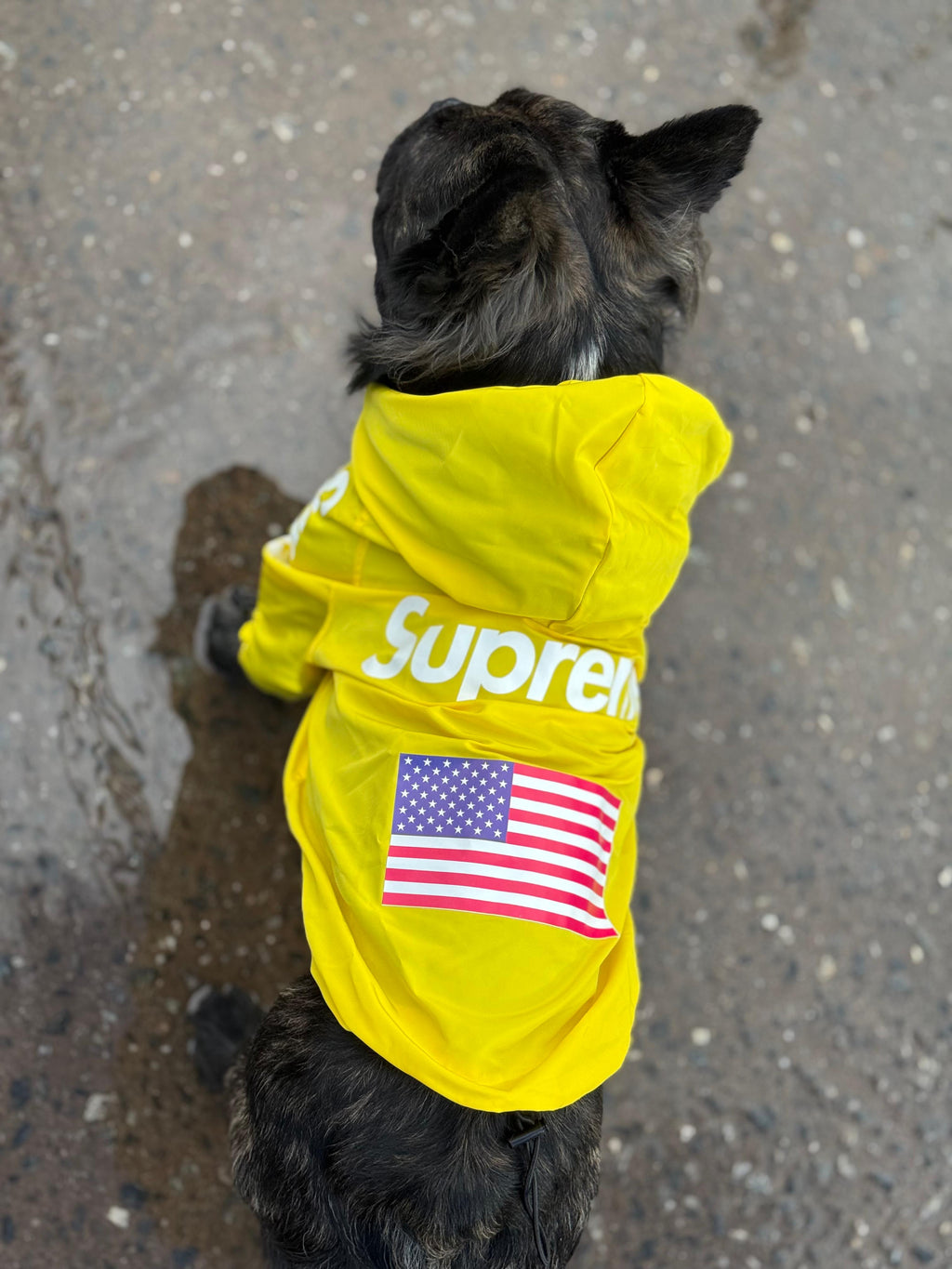 Impermeable Supreme