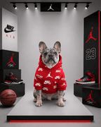 Hoodie Nike Jordan