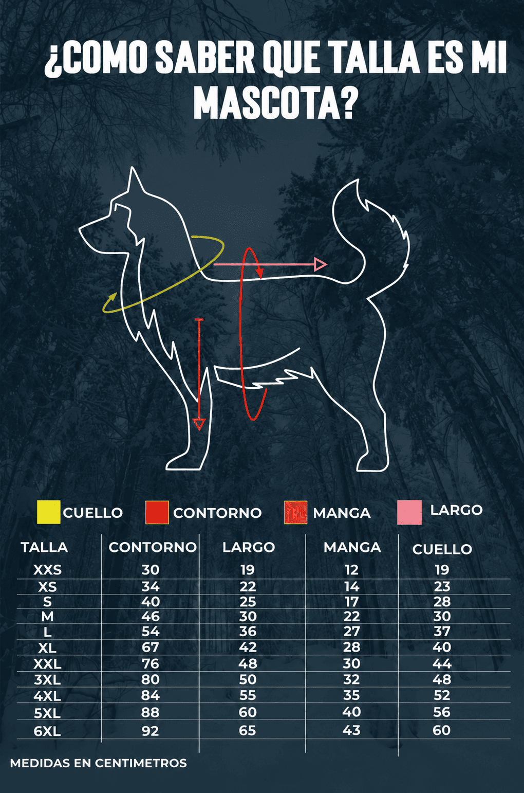 Guía de tallas