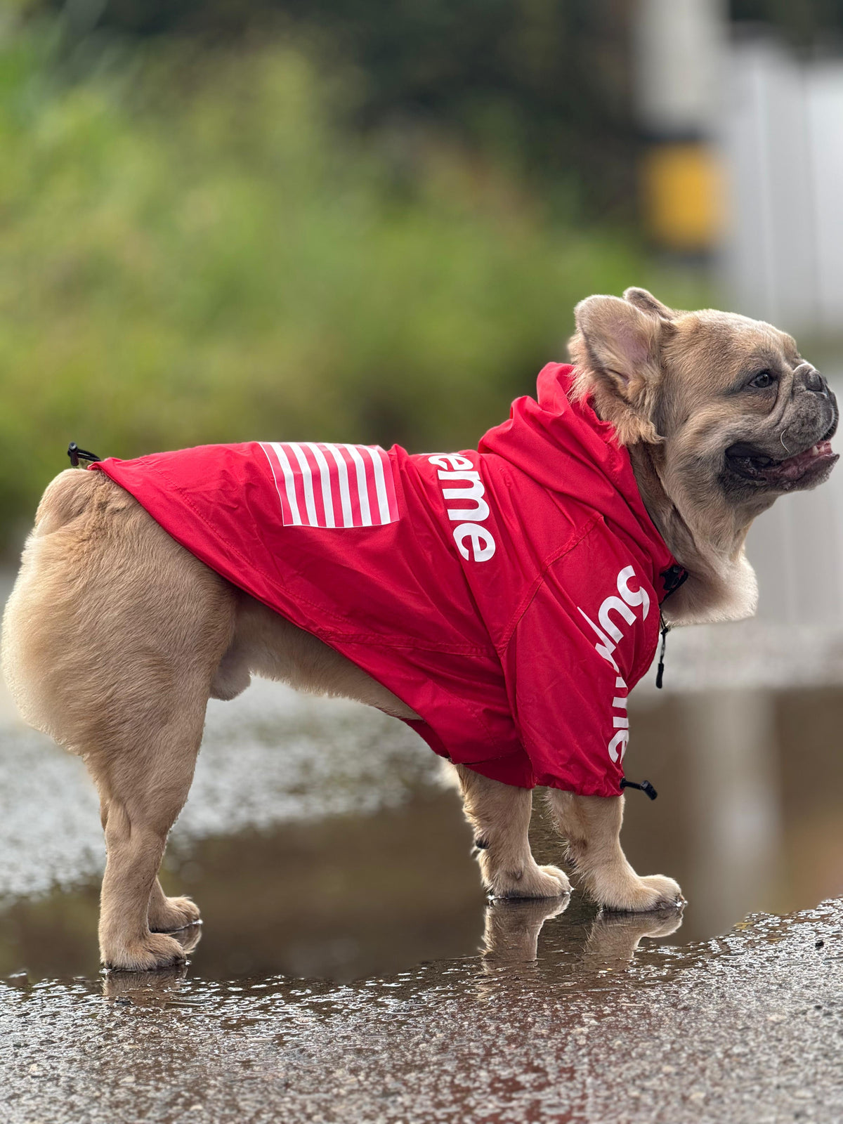 Impermeable Supreme
