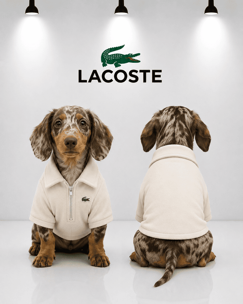 Camisa Lacoste