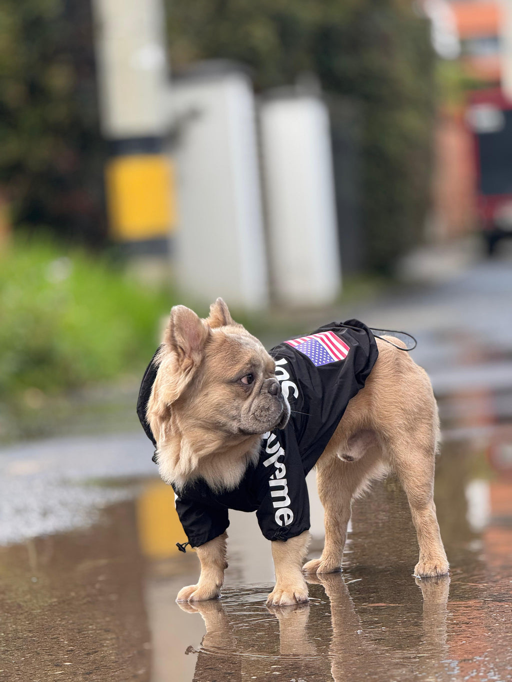 Impermeable Supreme