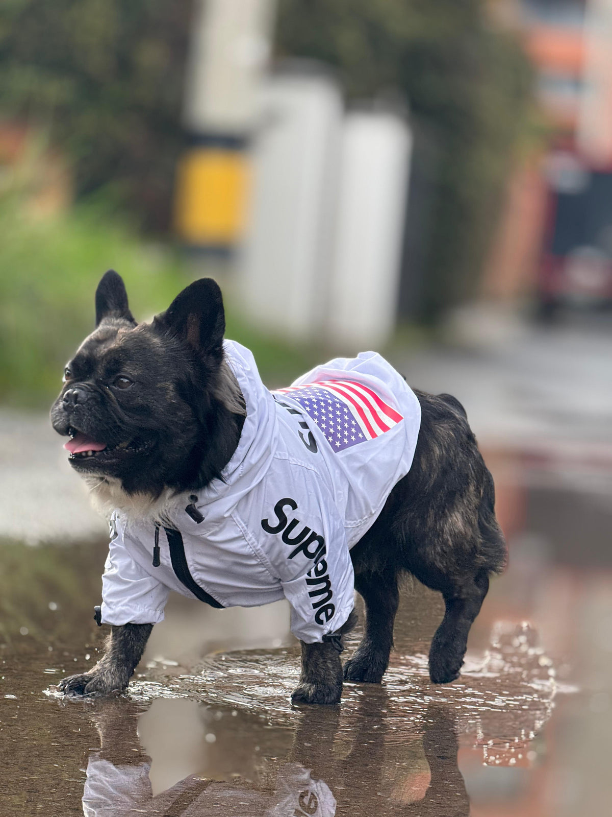 Impermeable Supreme