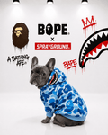 Hoodie Sprayground x Bape