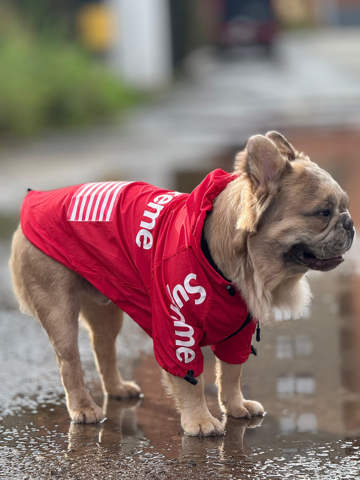 Impermeable Supreme