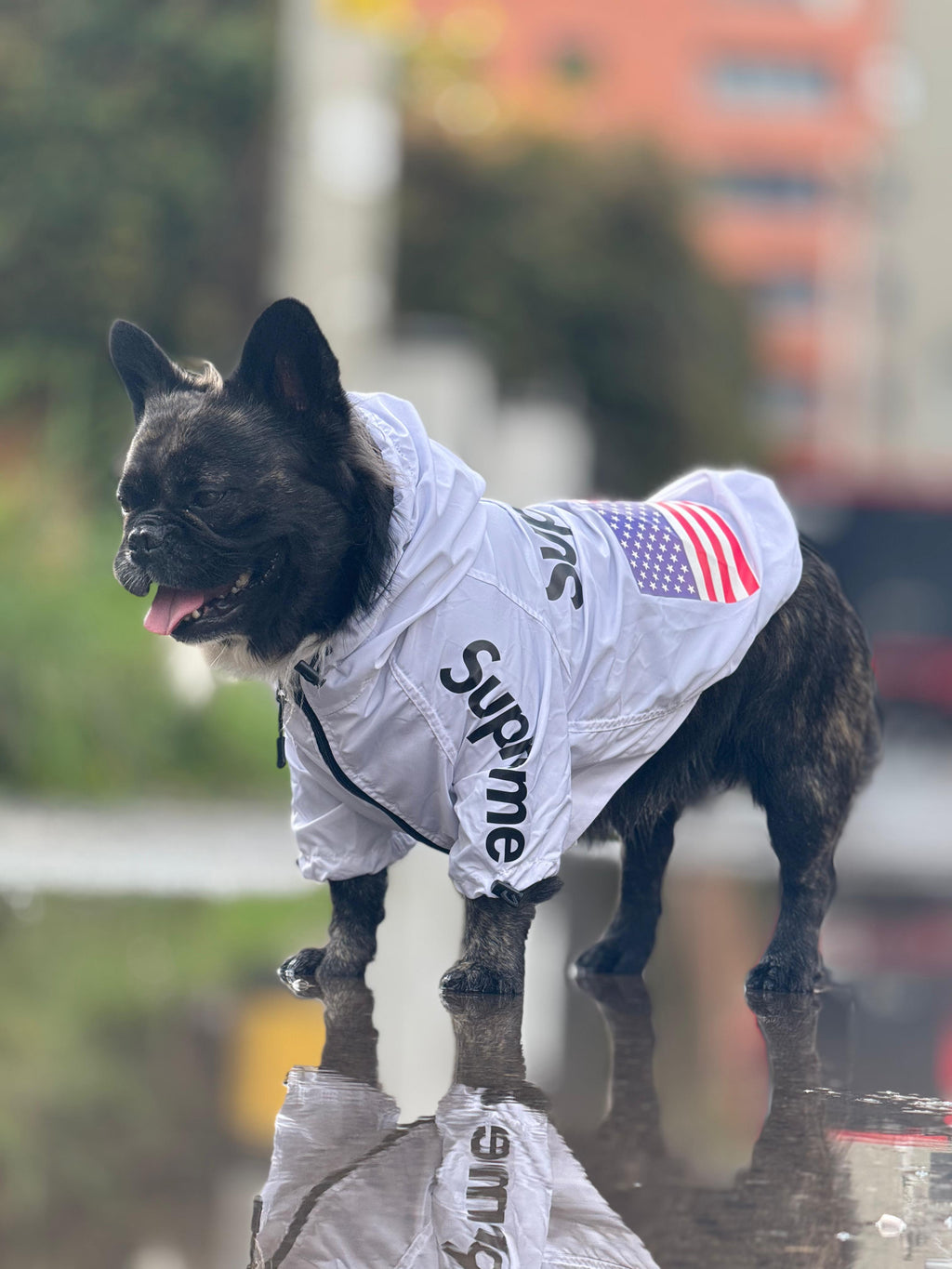 Impermeable Supreme