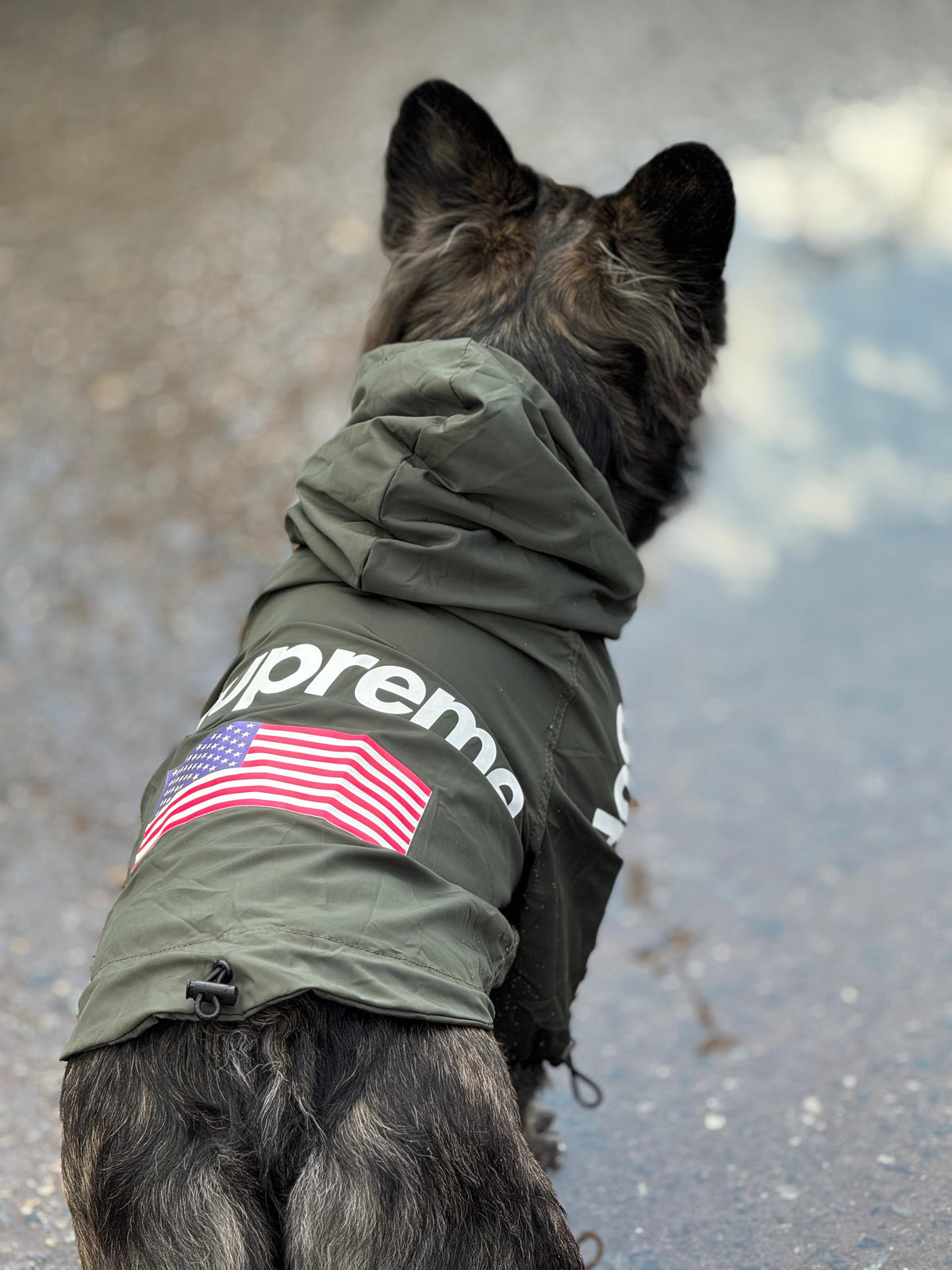 Impermeable Supreme