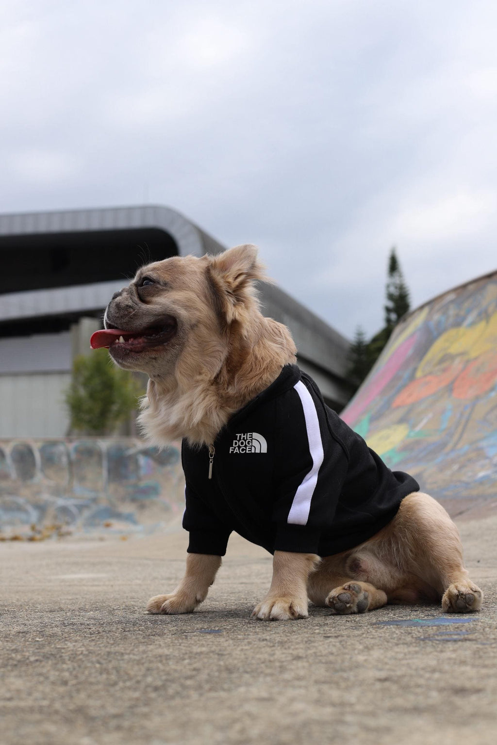 Chaqueta The Dog Face