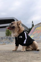 Chaqueta The Dog Face