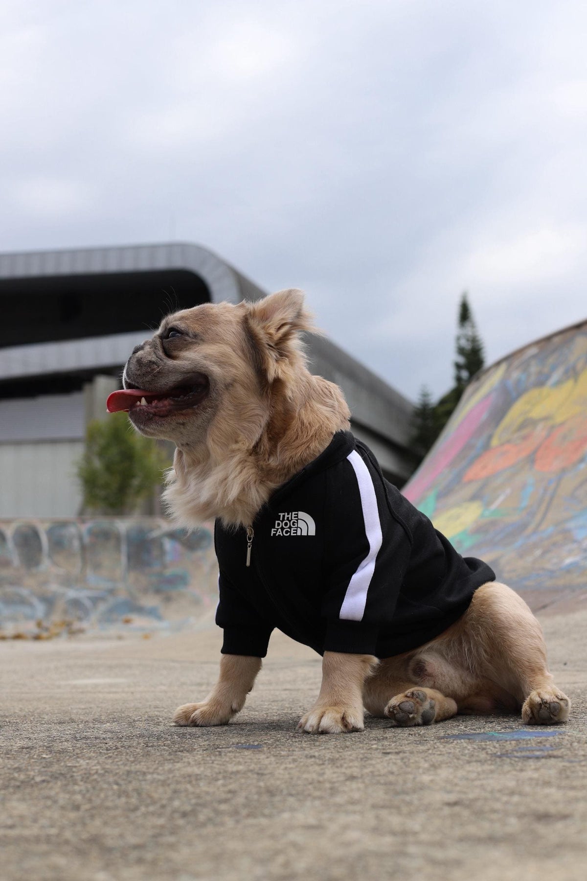 Chaqueta The Dog Face