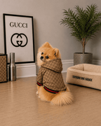 Chaqueta Gucci