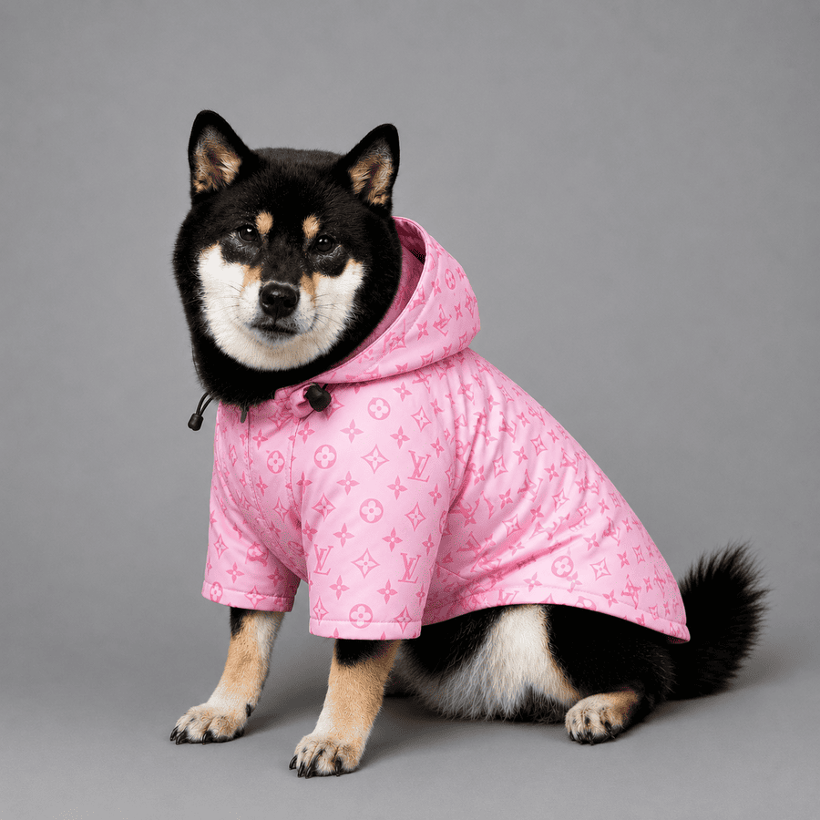 Impermeable Louis Vuitton