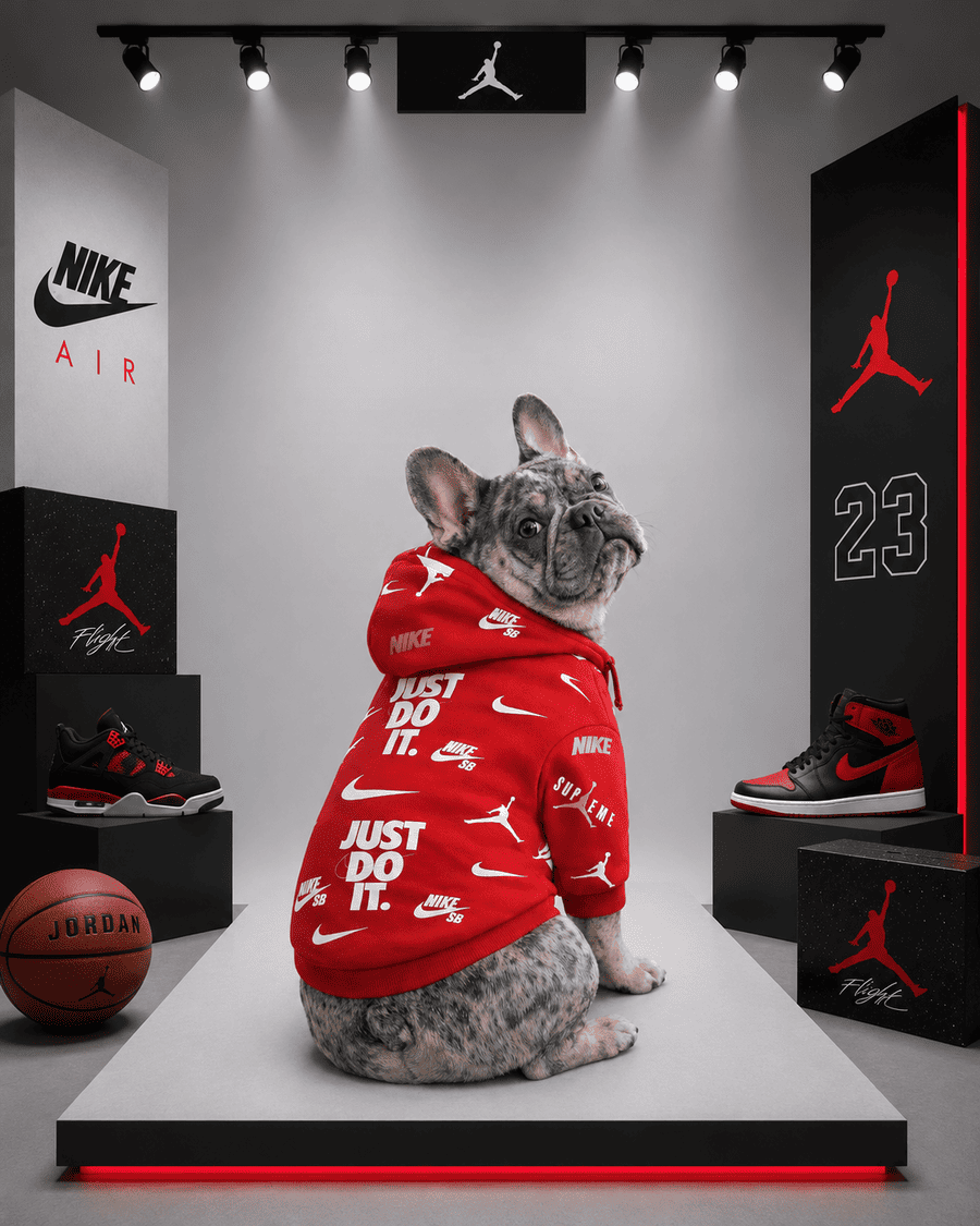 Hoodie Nike Jordan