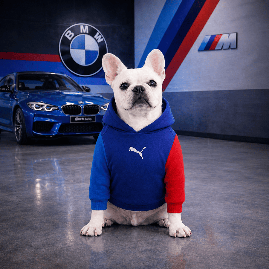 Hoodie Puma BMW