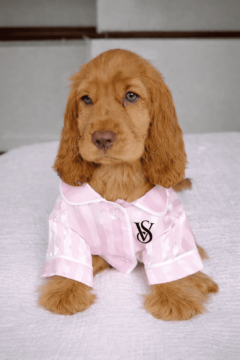 Pijama Victoria's Secret