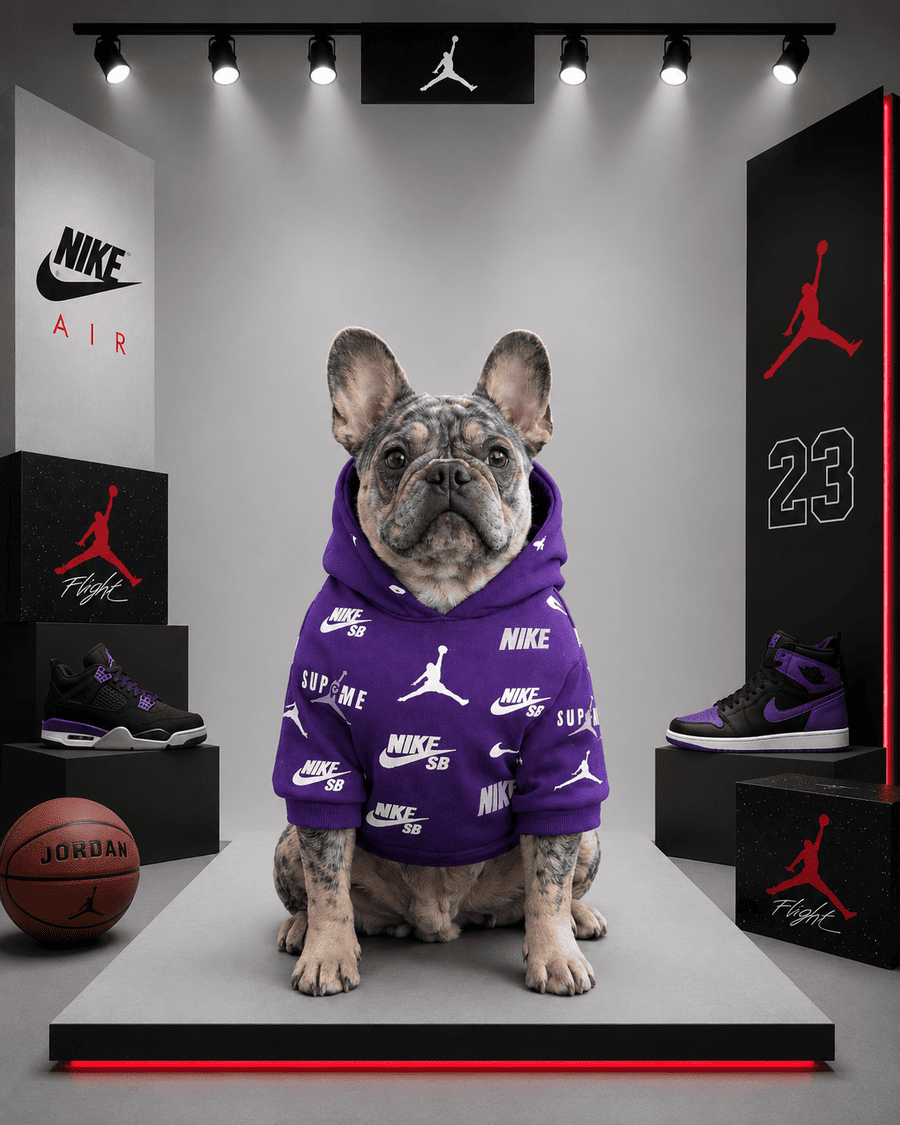 Hoodie Nike Jordan
