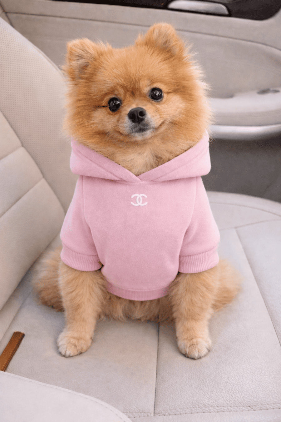 Hoodie Chanel