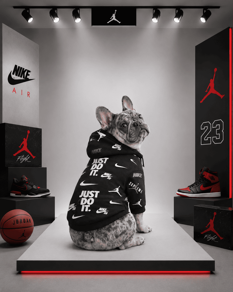 Hoodie Nike Jordan