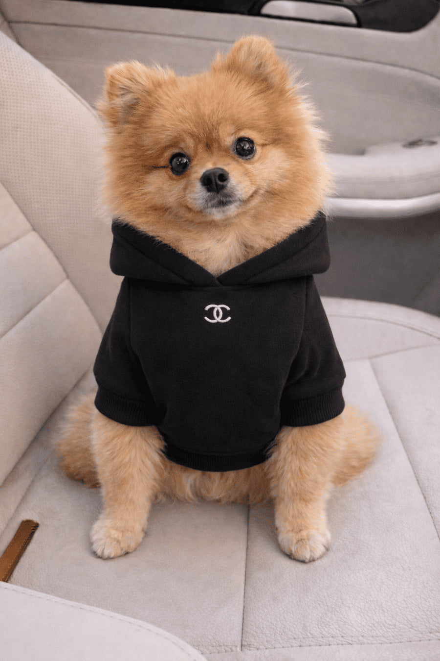 Hoodie Chanel