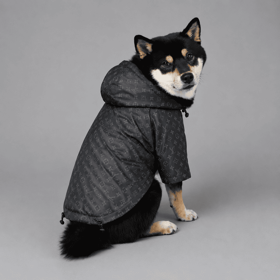 Impermeable Louis Vuitton