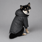 Impermeable Louis Vuitton