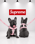 Kit Supreme Arnes + Correa