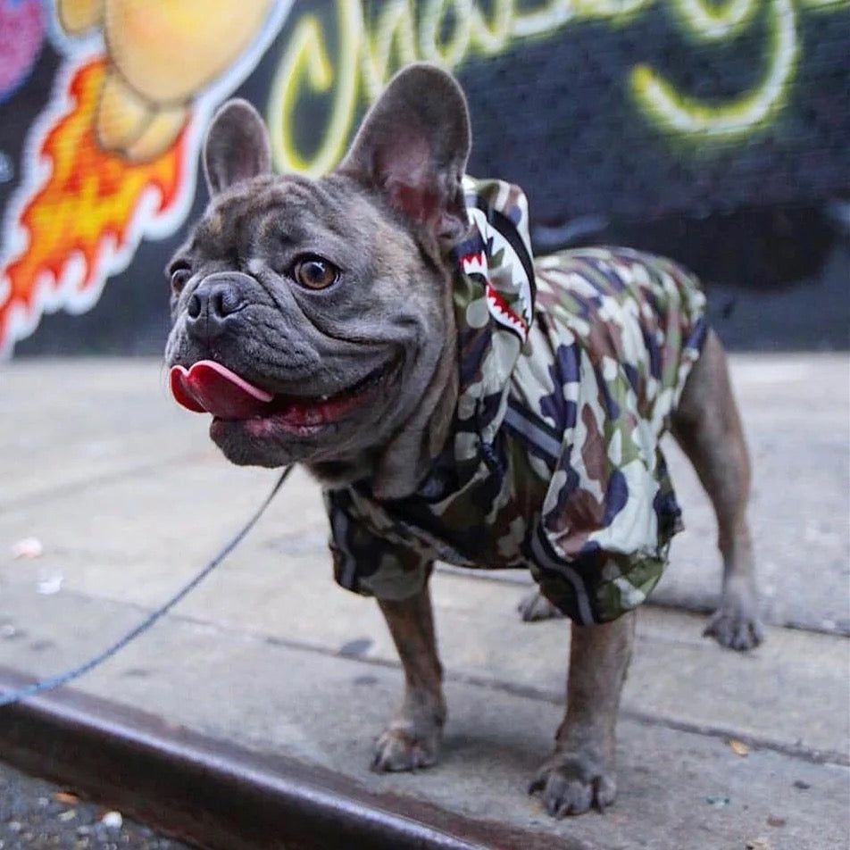 Impermeable Sprayground