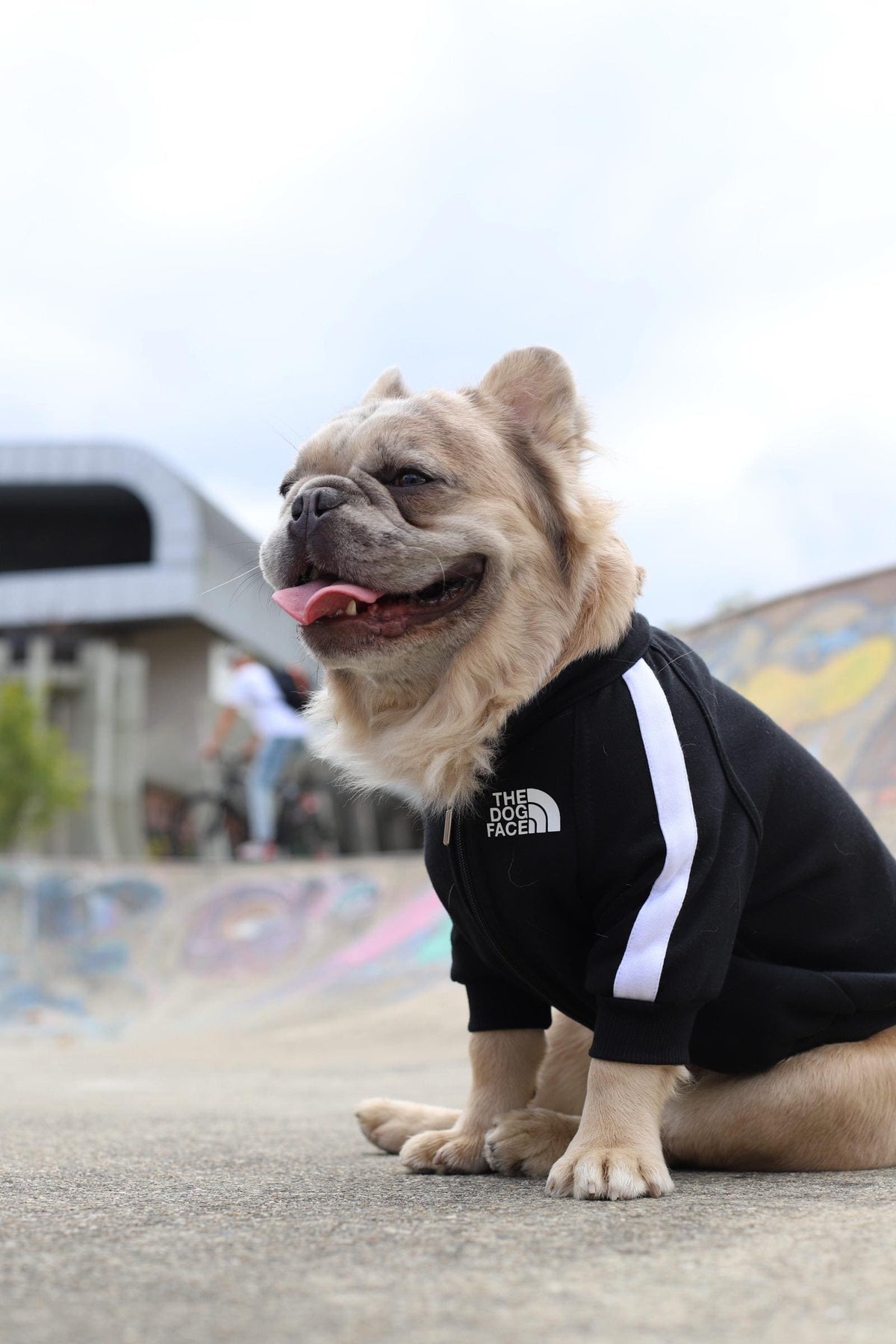Chaqueta The Dog Face