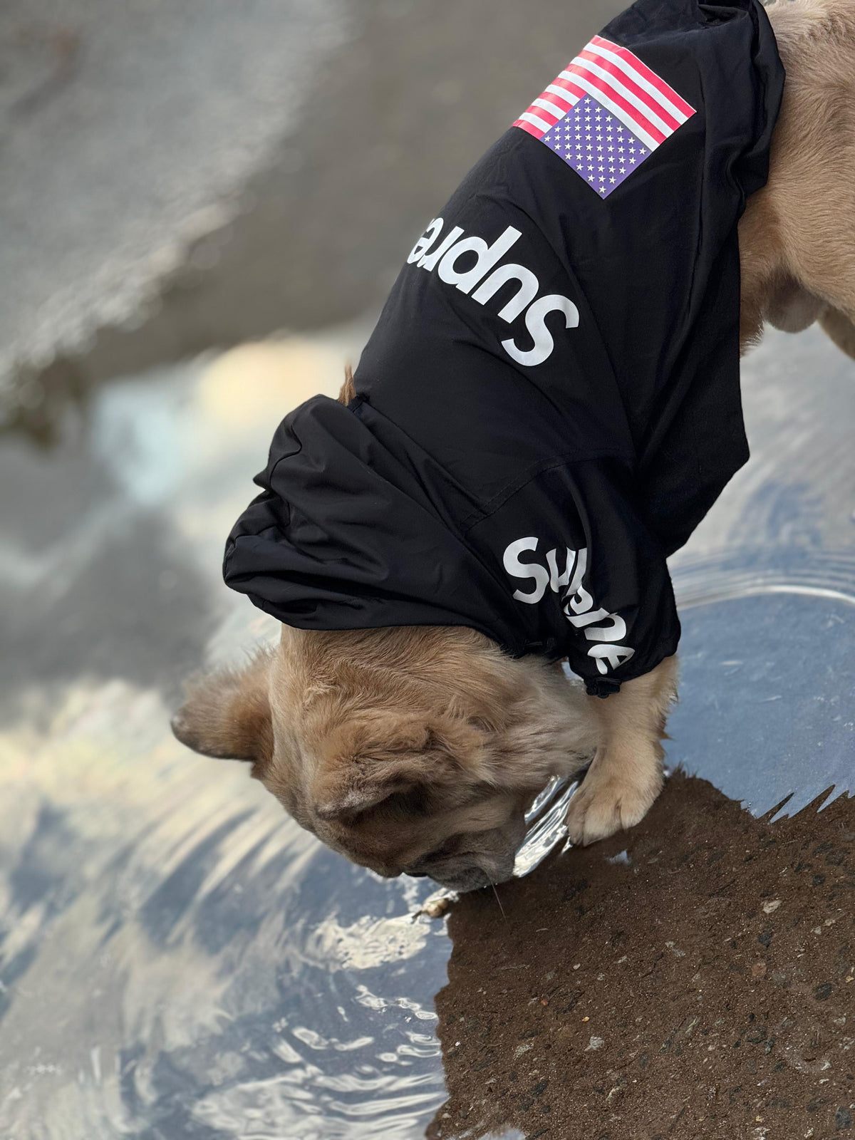 Impermeable Supreme